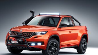 Skoda Pick-Up 2019