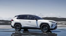 Toyota RAV 4 2019