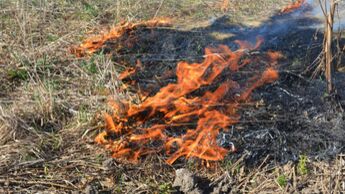 Trockenes Gras steht in Flammen. Heiße Abgasanlagen von Autos können beim Parken auf trockenen Wiesen einen Brand auslösen.