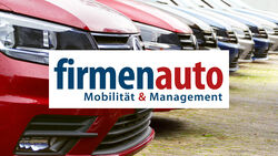 VW Caddy, Flotte, Fuhrpark, Dummy