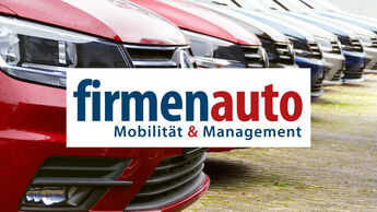 VW Caddy, Flotte, Fuhrpark, Dummy