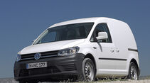 VW Caddy (Leserwahl 2018)
