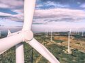 VW Windpark 2023