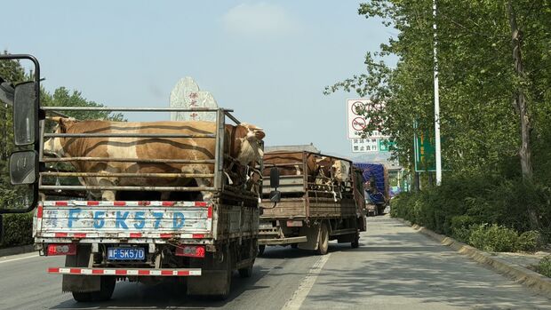 Viehtransport 2026