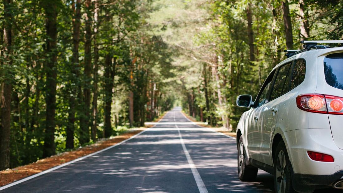 Weißes SUV auf einer schmalen Straße im Wald, aufgenommen von hinten am rechten Fahrbahnrand.