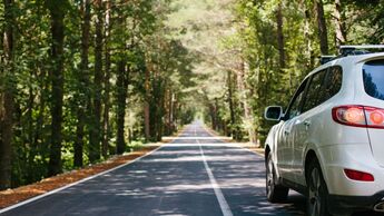 Weißes SUV auf einer schmalen Straße im Wald, aufgenommen von hinten am rechten Fahrbahnrand.
