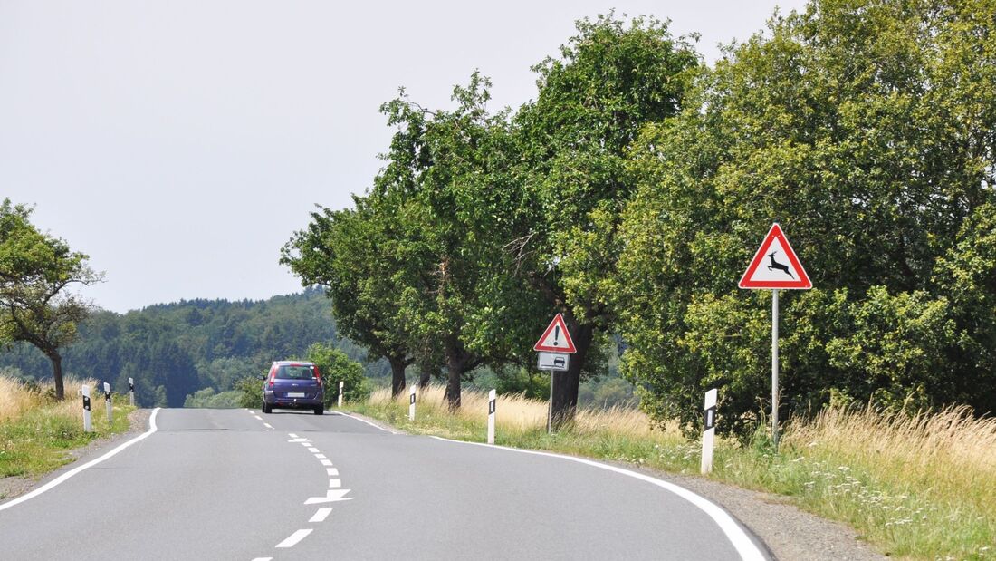 Wildwechsel