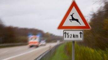 Wildwechsel Wild Verkehrsschild