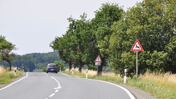 Wildwechsel