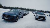 Winterreifen 2026