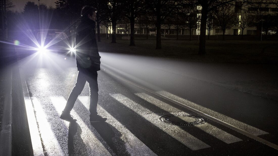 Zebrastreifen 2023