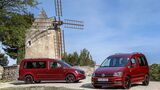 Zwei rote VW Caddy Modelle stehen nebeneinander vor einer Windmühle, Front- und Seitenansicht sichtbar