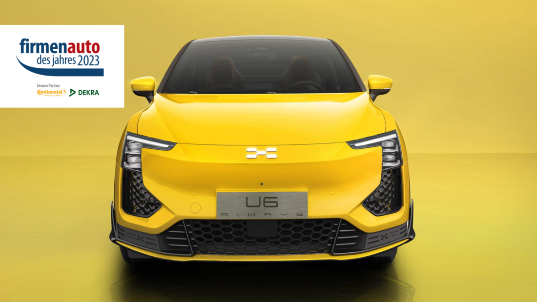 Die besten Elektro-SUV (Import)