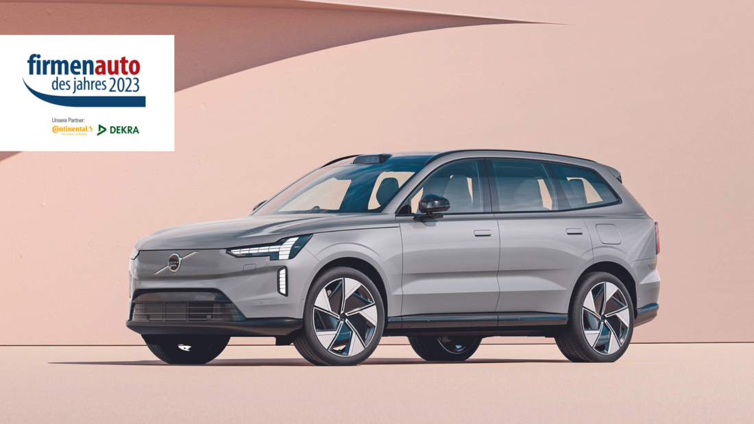 Die besten Newcomer über 50.000 Euro (Import)