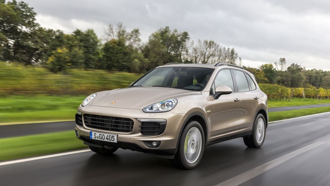 Cayenne mit Hang zur Bindung