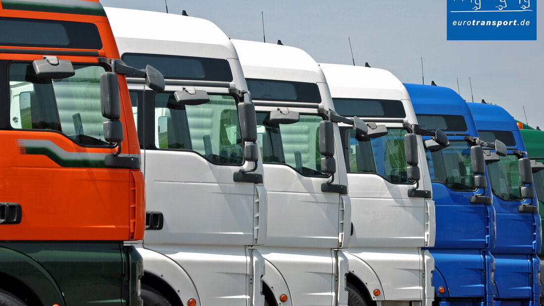 Truck Sport Book vom Nikolaus