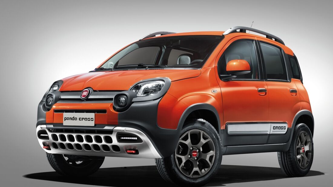 Panda und Freemont als Offroader