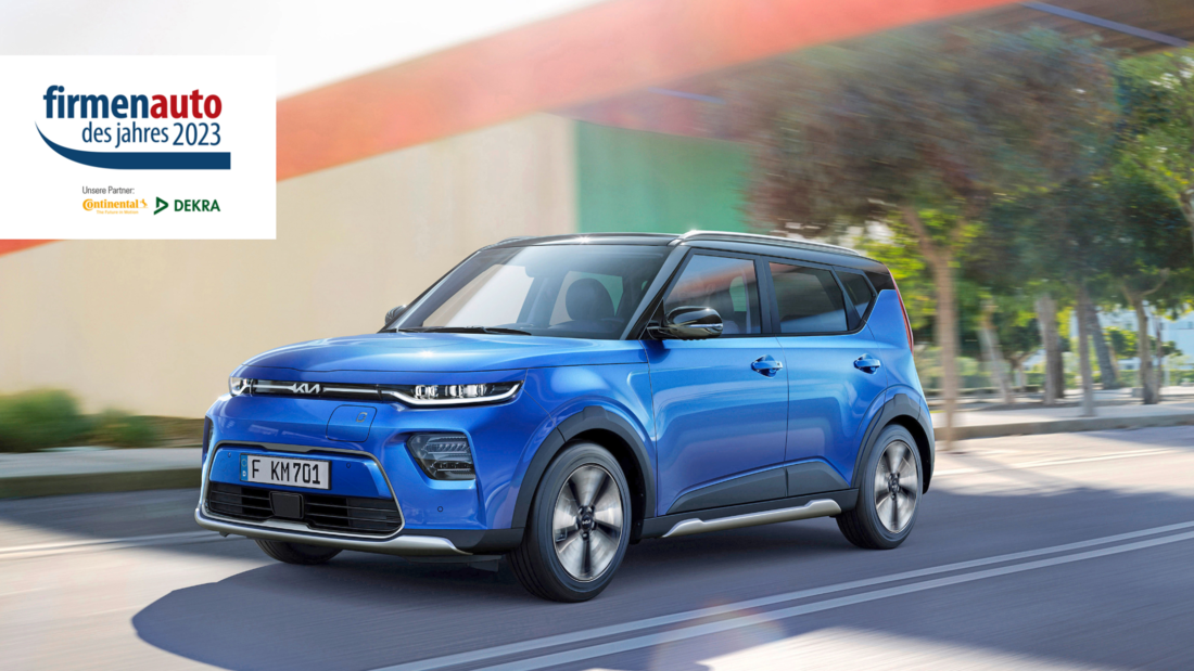 Die besten Elektrovans (Import)