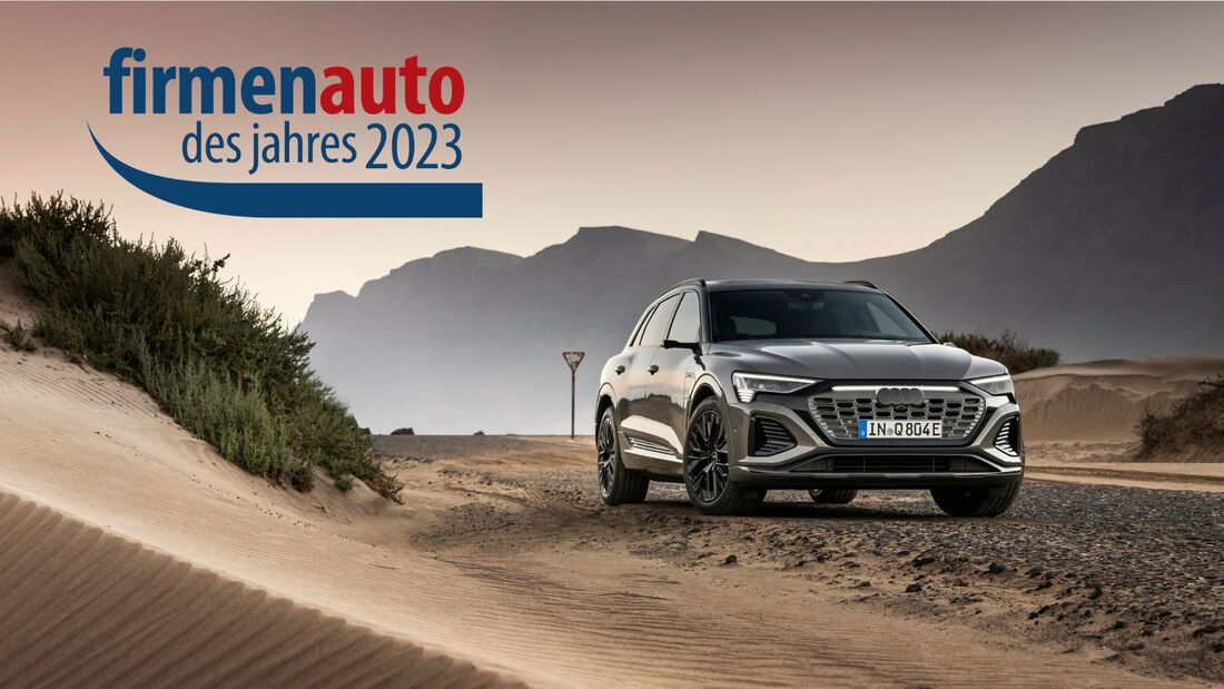 Alle Top-SUV im Flottenmarkt