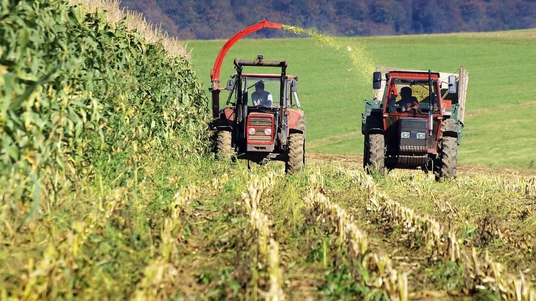 Finanzamt erkennt Ausnahmefälle an